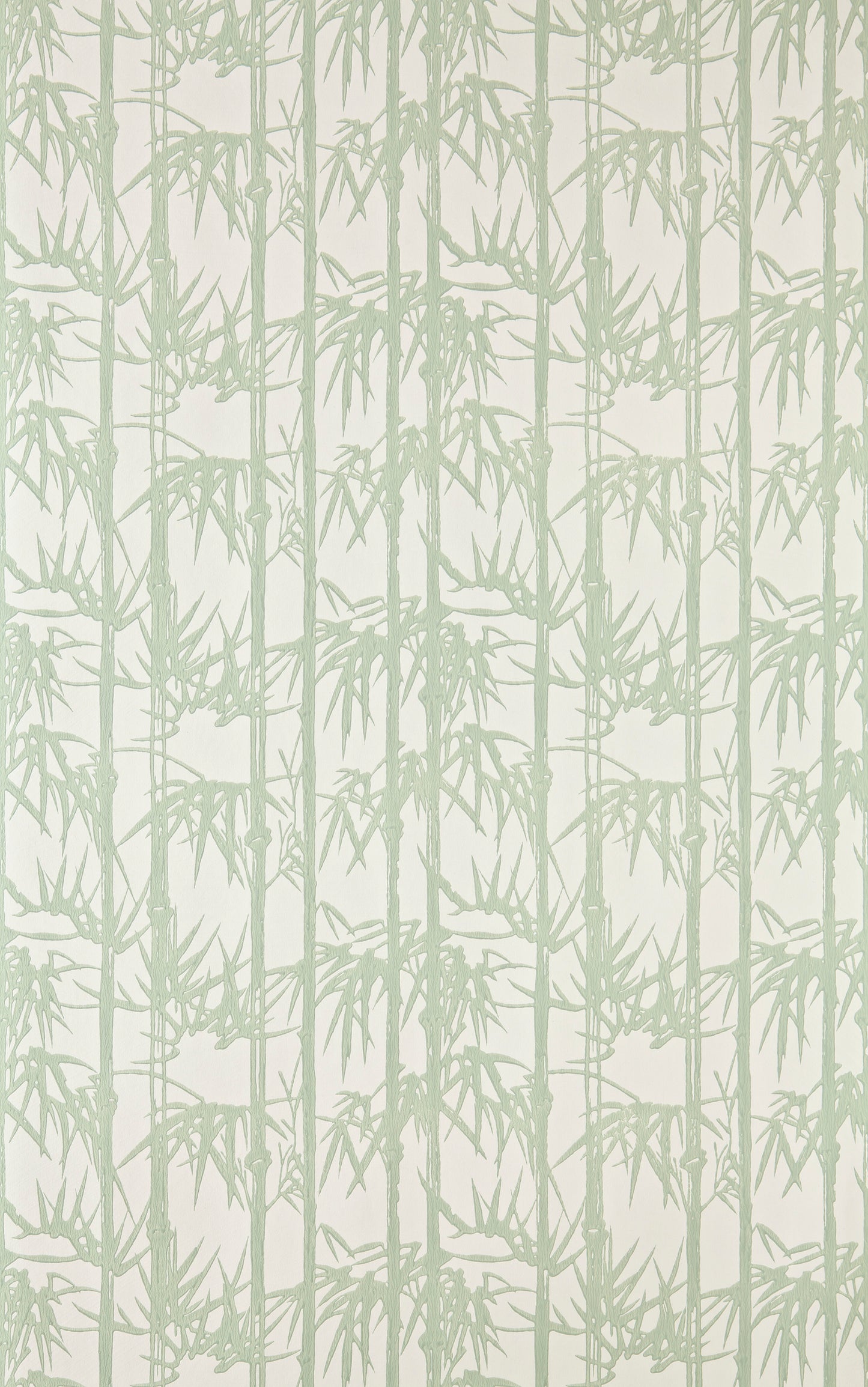 Bamboo