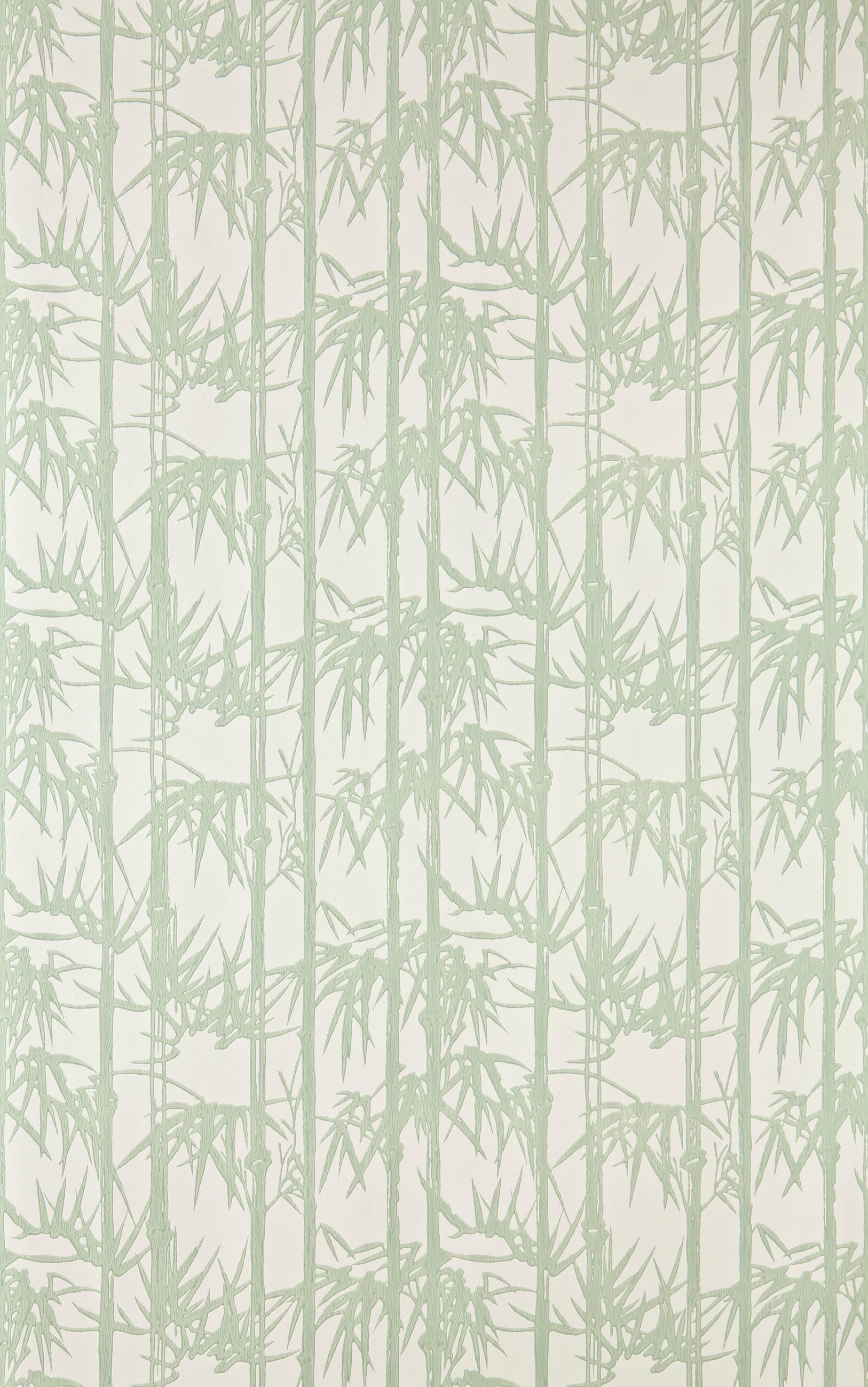 Bamboo