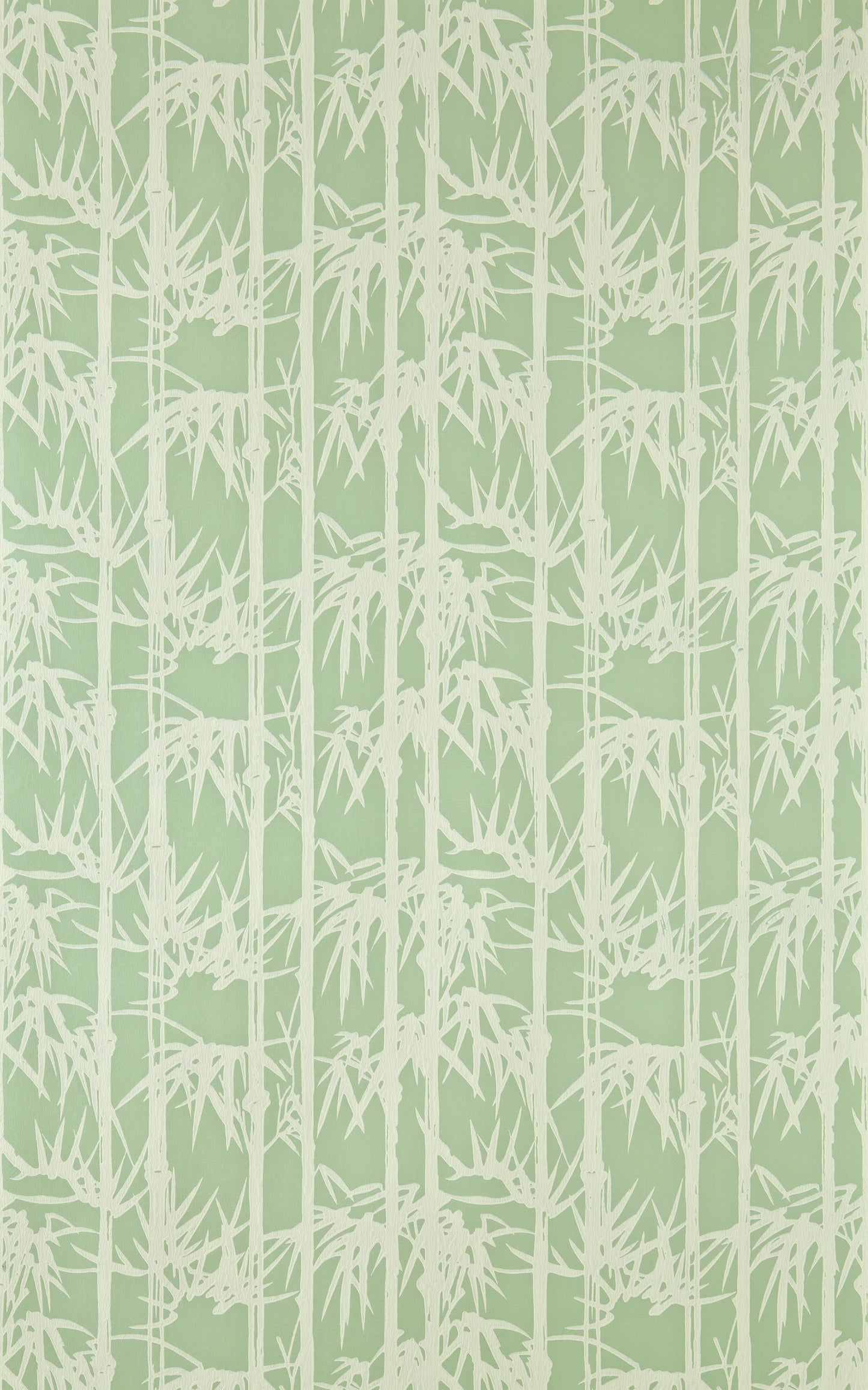 Bamboo