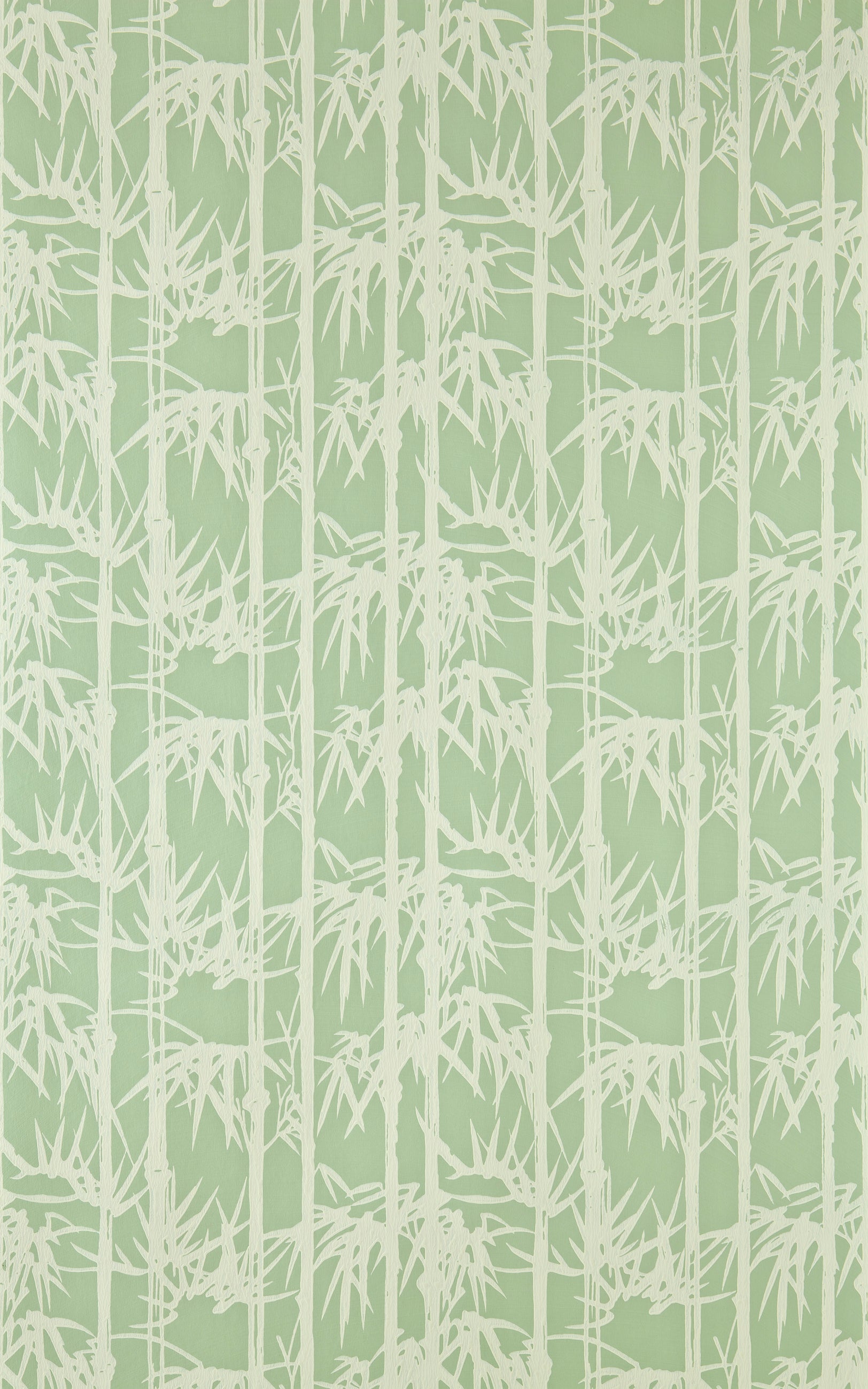 Bamboo