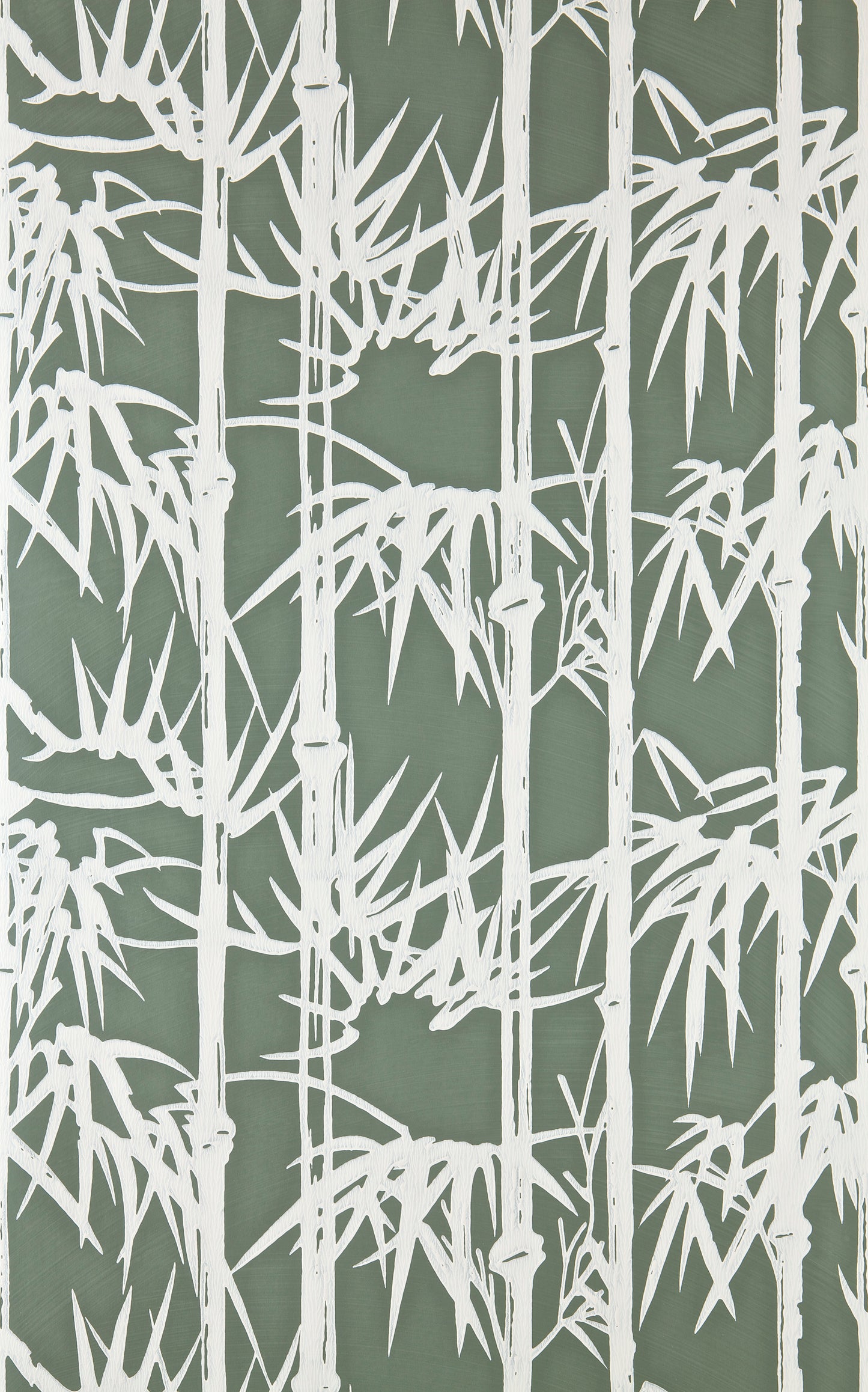 Bamboo