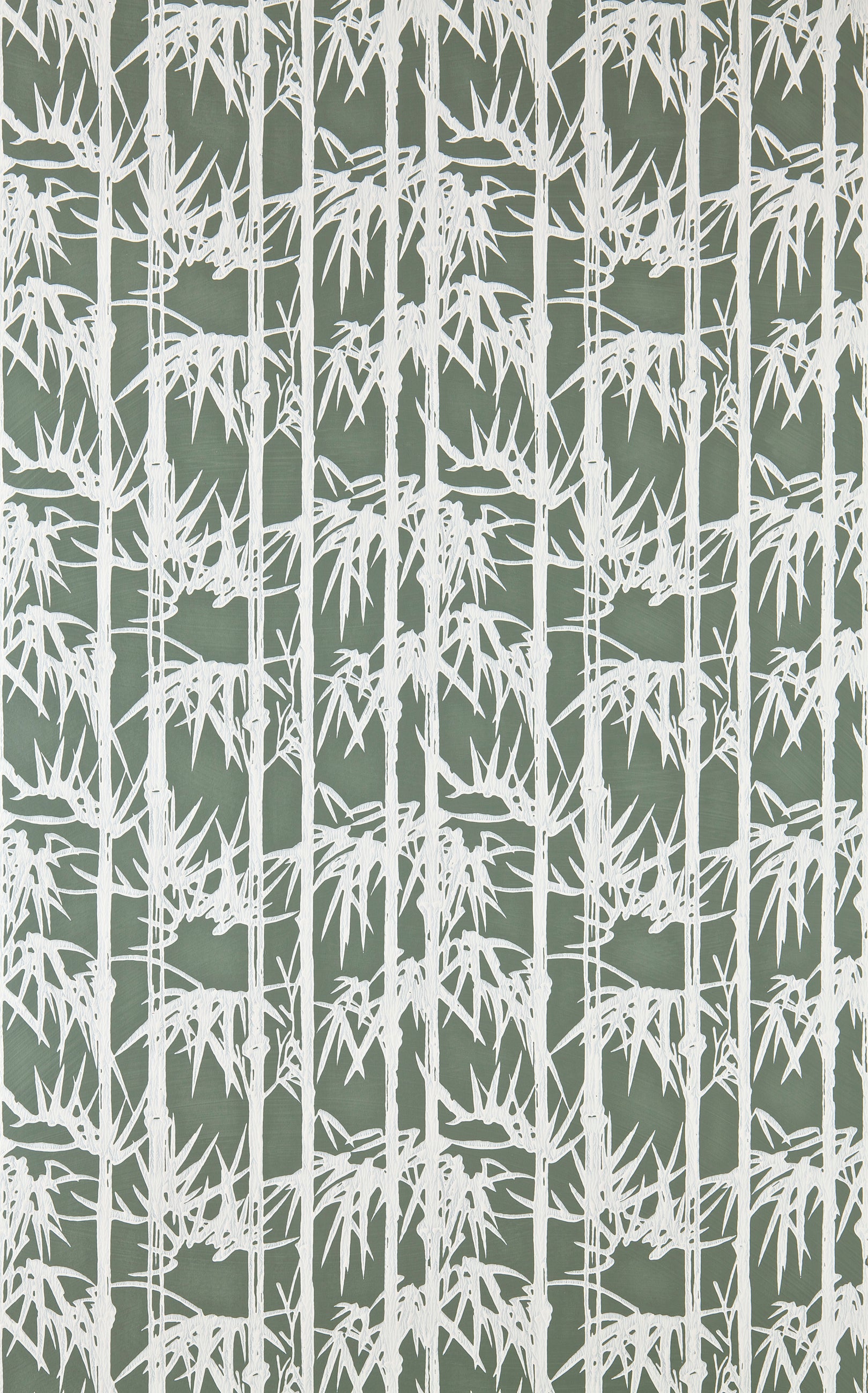 Bamboo