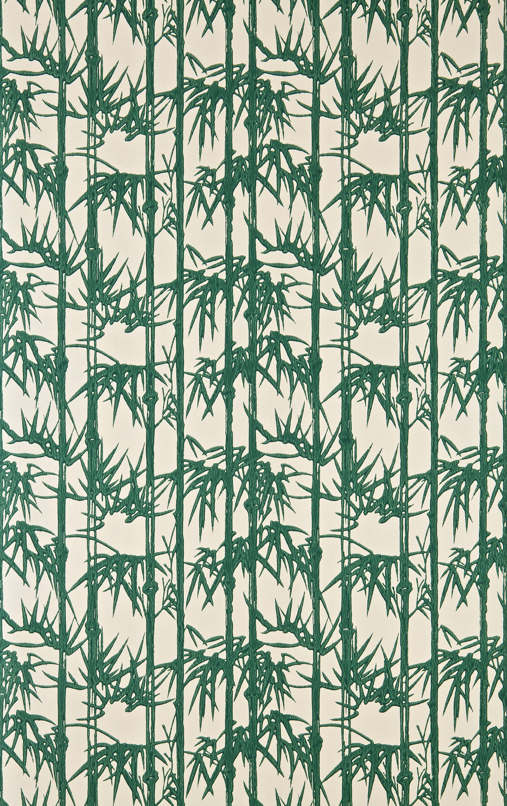 Bamboo