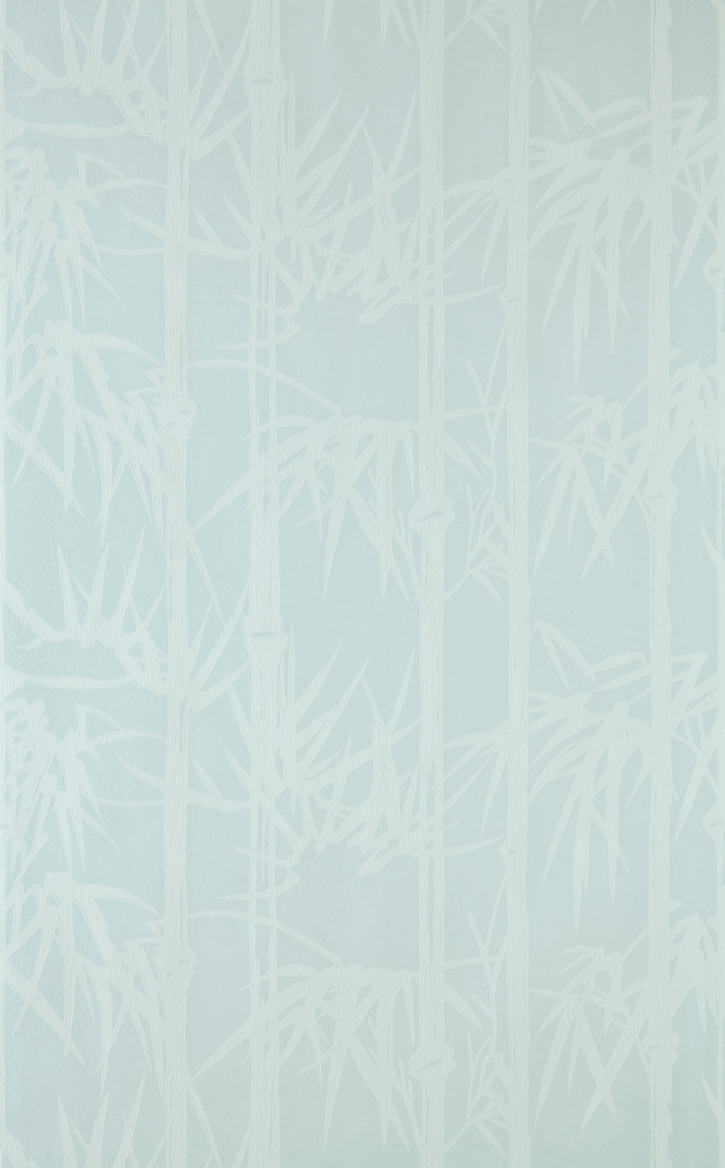 Bamboo