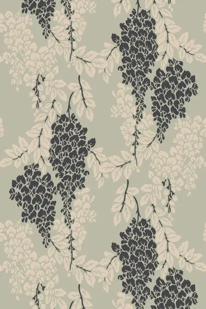 Wisteria