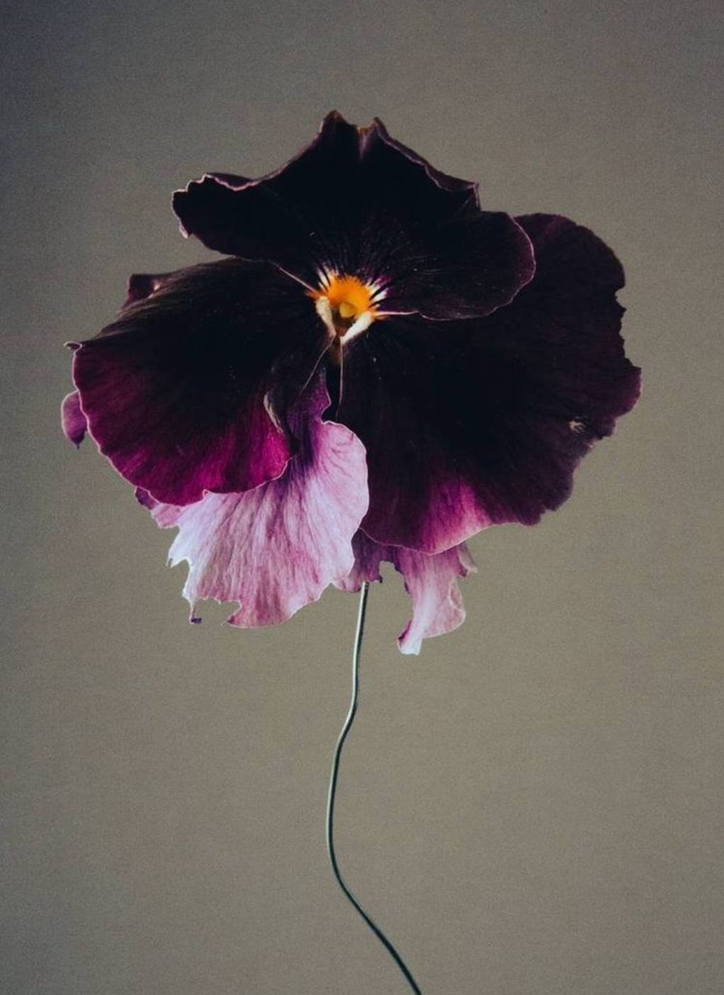 Moody Blooms Candle
