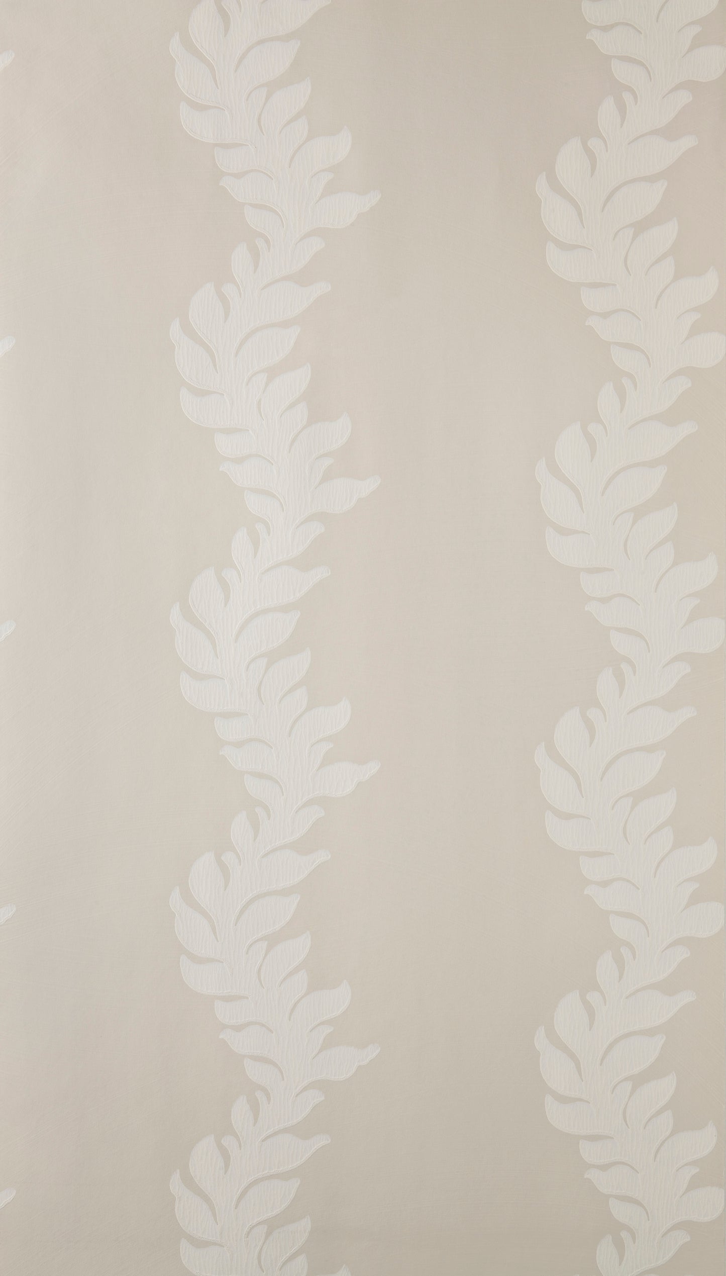 Acanthus