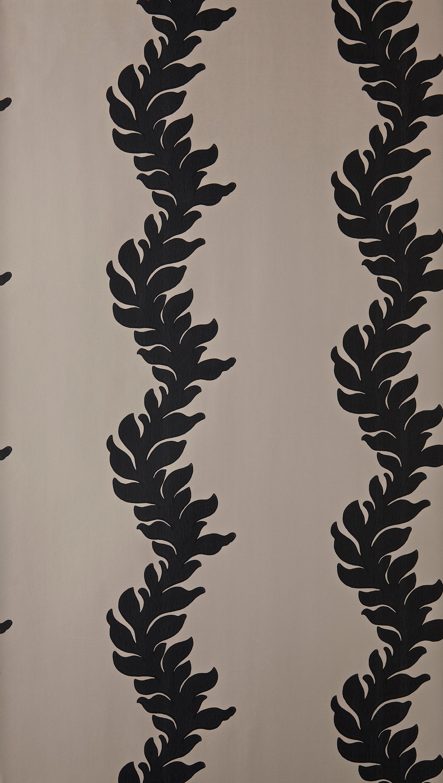Acanthus