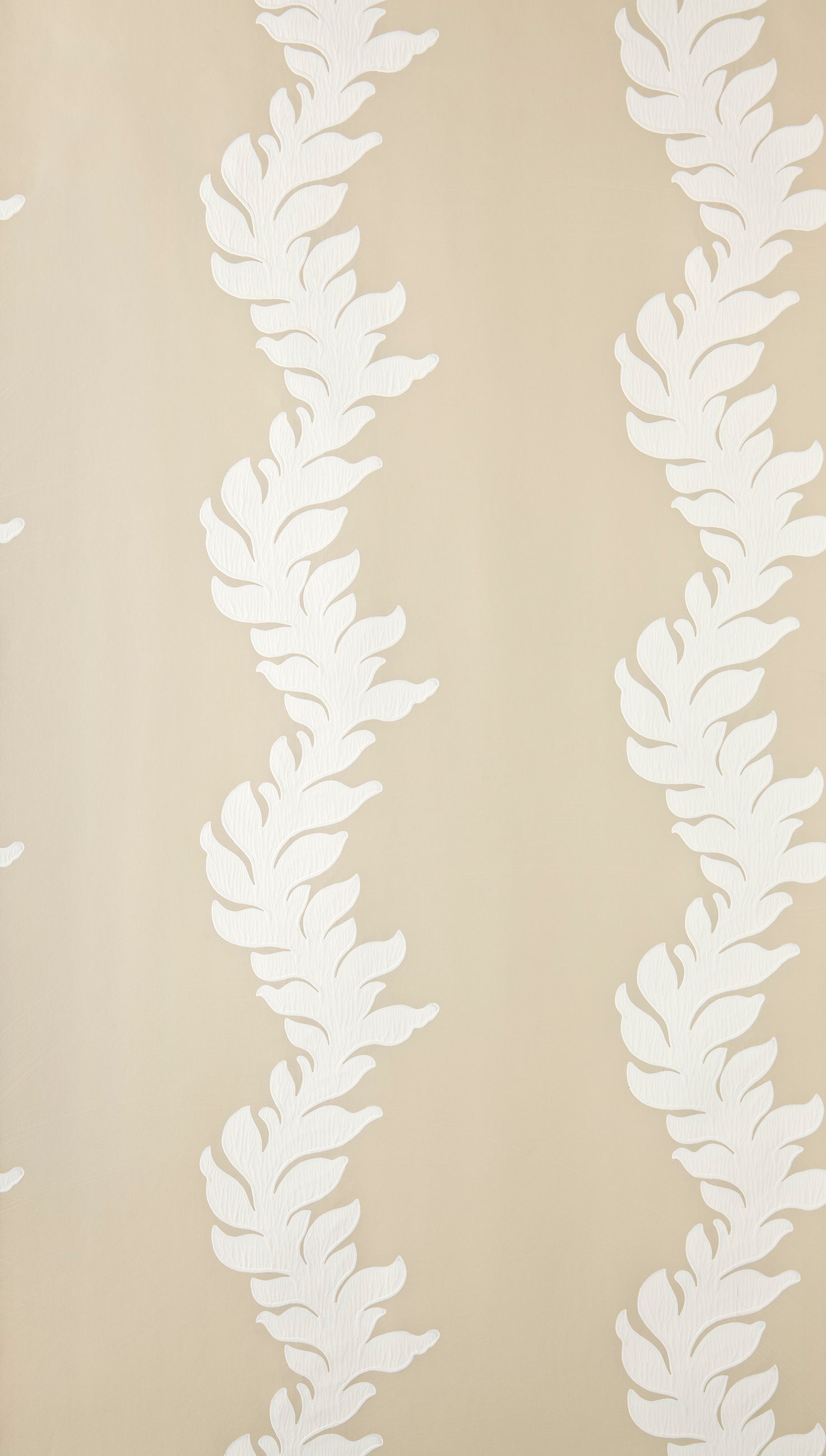 Acanthus