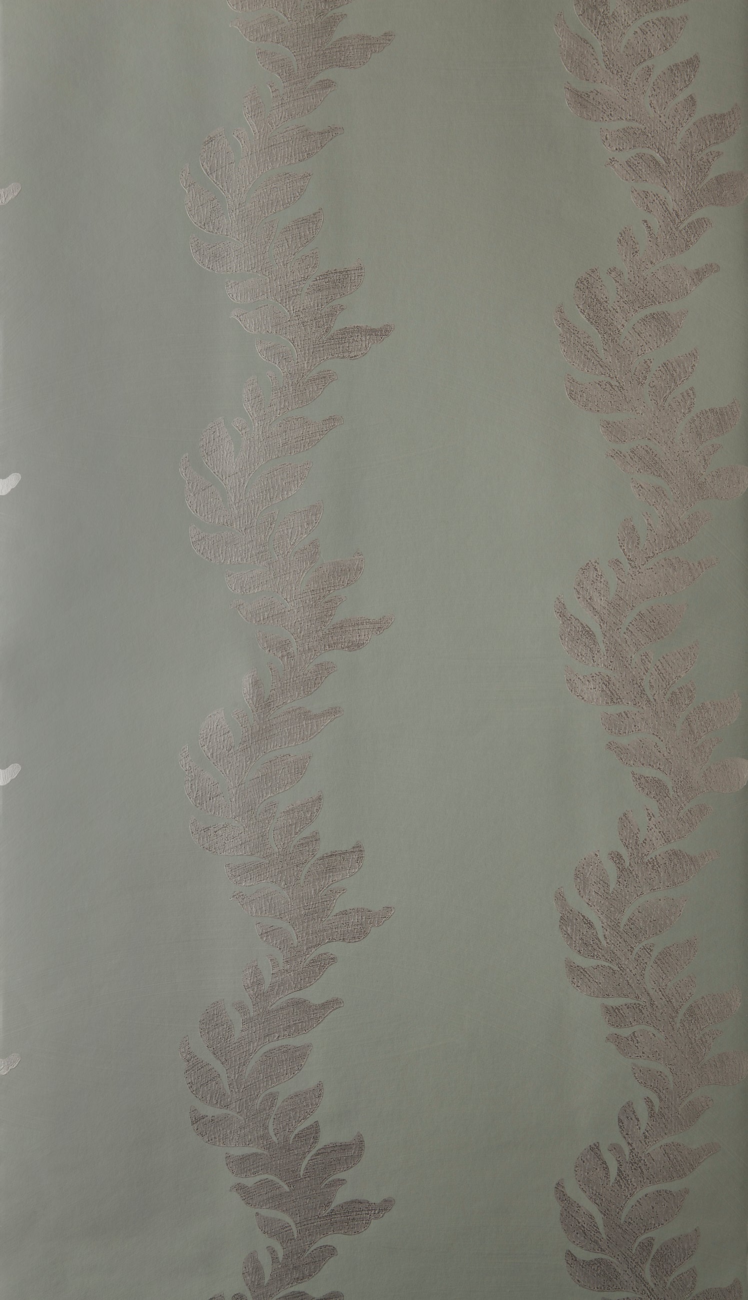 Acanthus