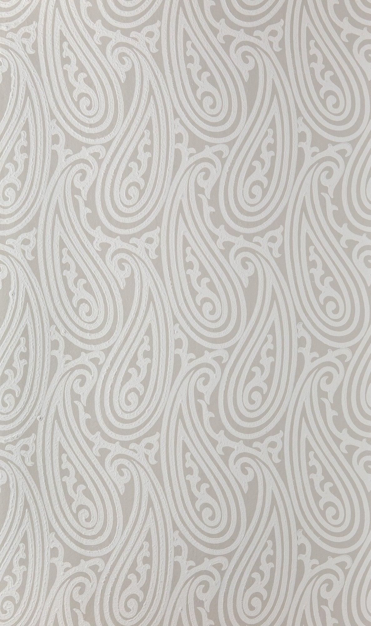 Paisley