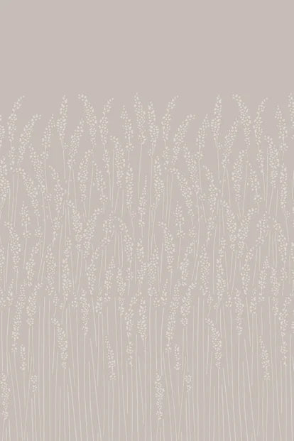 Feather Grass