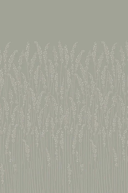 Feather Grass