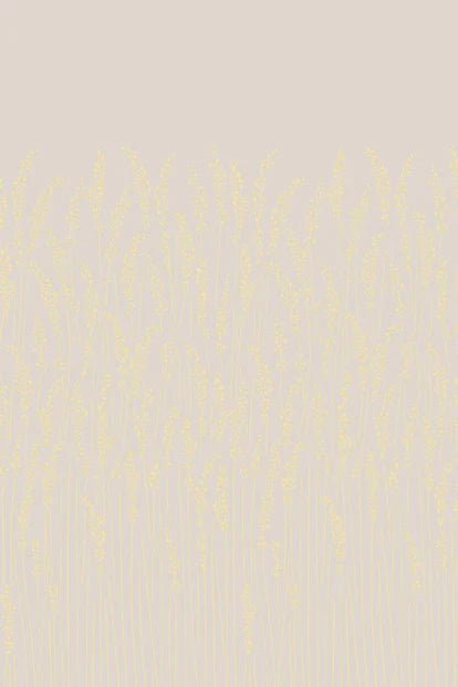 Feather Grass