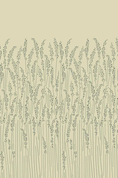 Feather Grass