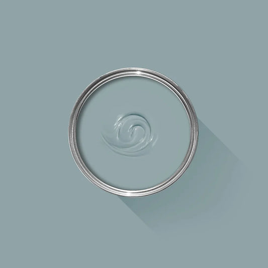 Sardine