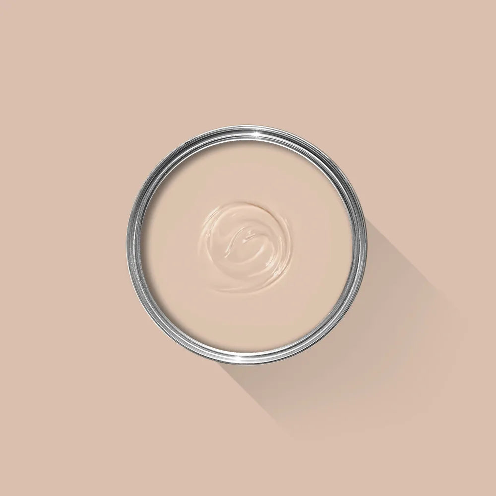 Setting Plaster
