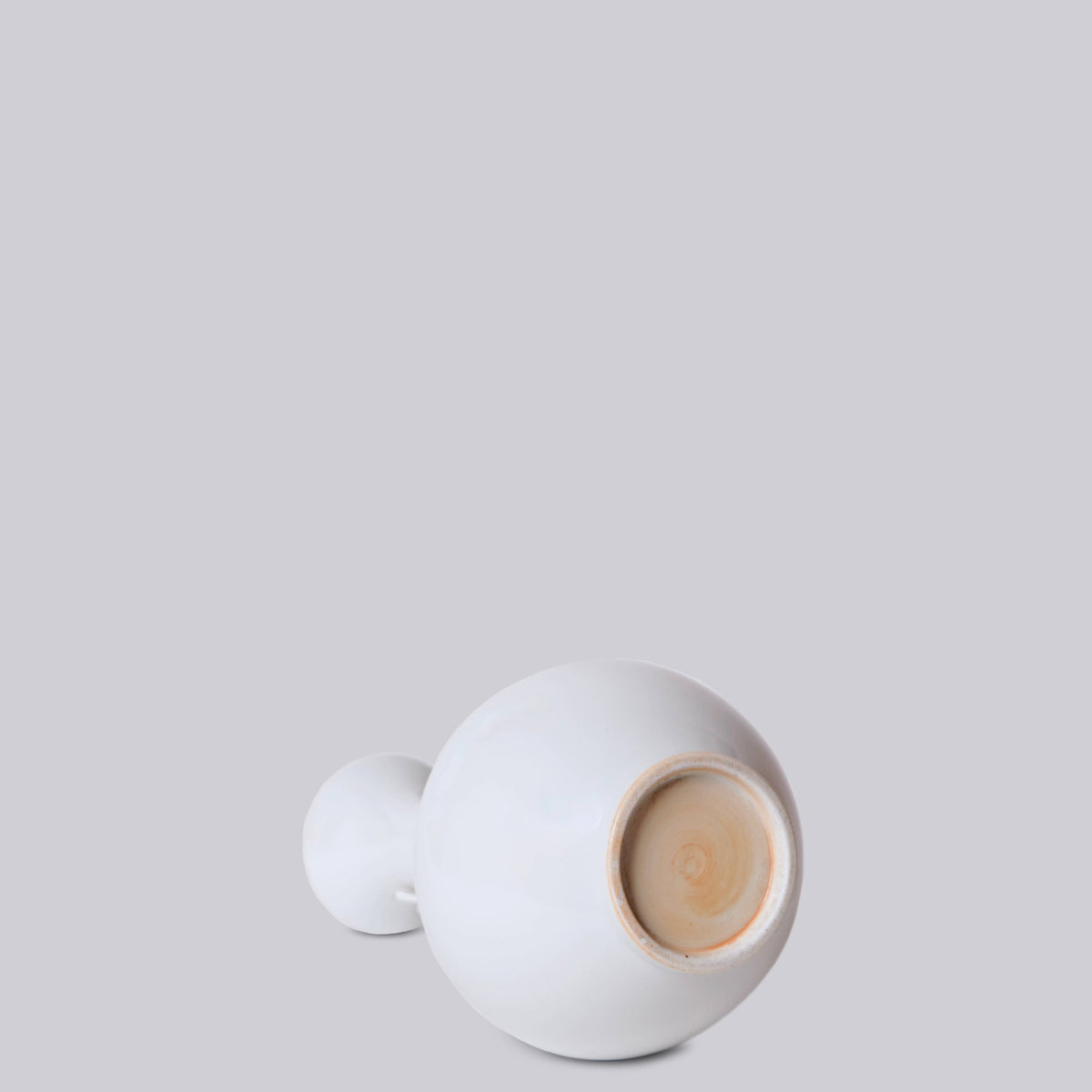 White Porcelain Globe Vase with Coiling Dragon